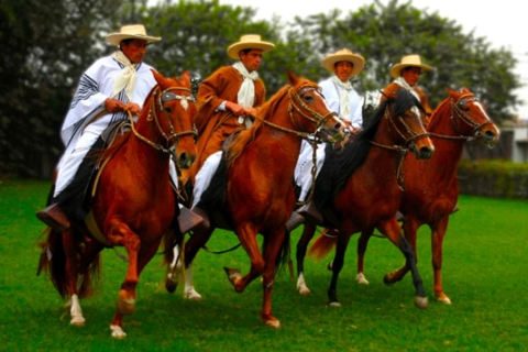 Depuis Lima : Sanctuaire de Pachacamac et cheval de paso