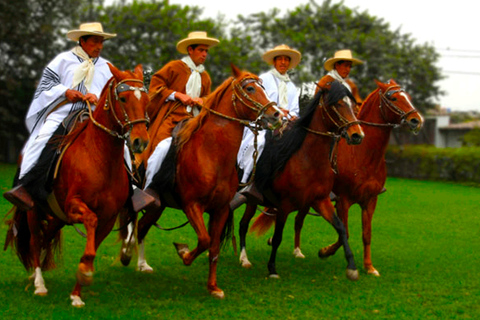 Von Lima aus: Heiligtum von Pachacamac & Paso Pferd