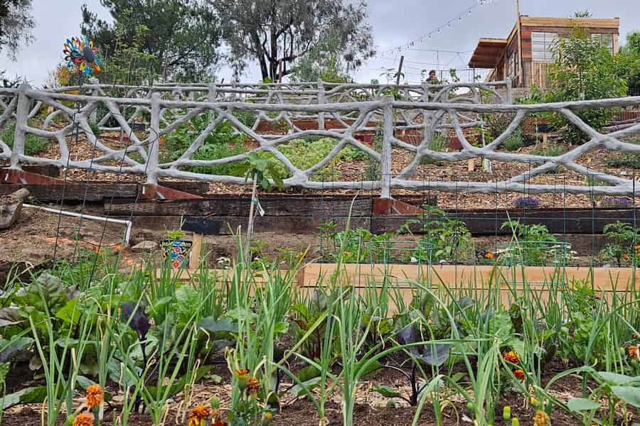 Tour durch den Garten der Hidden Farm LA Hillside mit Blick auf die Stadt. Foto: GetYourGuide Tour durch den Garten der Hidden Farm LA Hillside mit Blick auf die Stadt. Foto: GetYourGuide