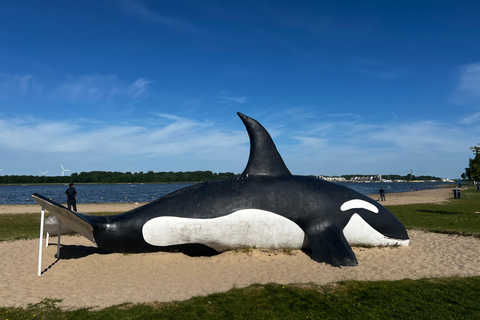 Spakenburg: tour guidato a piedi del centro storicoSpakenburg: Tour guidato a piedi del centro storico