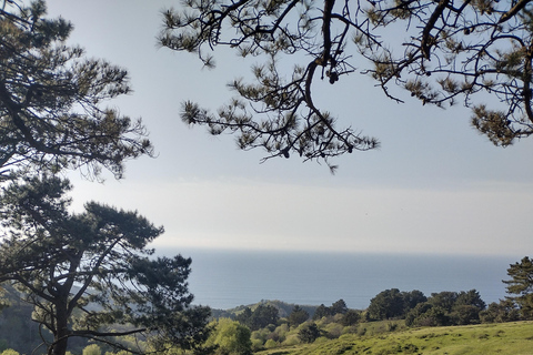 Hidden Heritage: Ultimate Basque Country Off-Road Odyssey