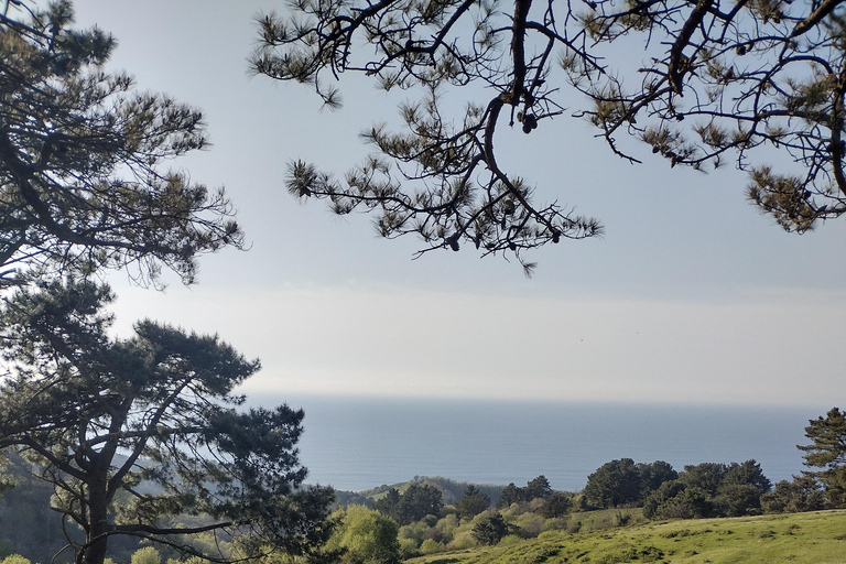 Hidden Heritage: Ultimate Basque Country Off-Road Odyssey