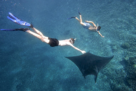 Labuan Bajo: Komodo Park Small Group Boat Tour | 6 Spots