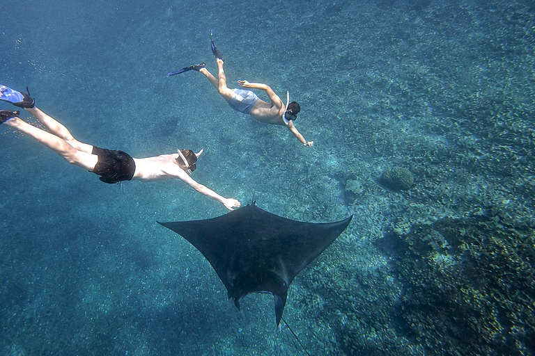 Labuan Bajo: Komodo Park Small Group Boat Tour | 6 Spots