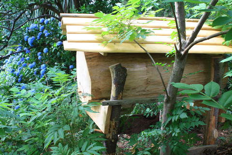 Batumi: Sweet Excursion and Mtirala Forest