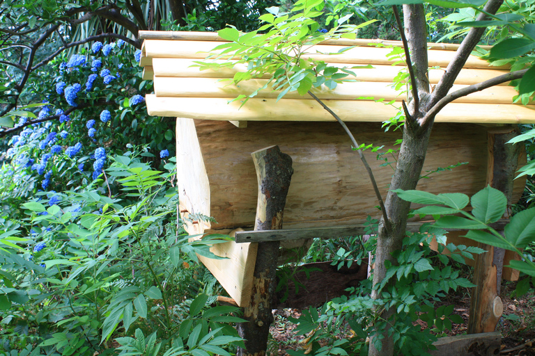 Batumi: Sweet Excursion and Mtirala Forest