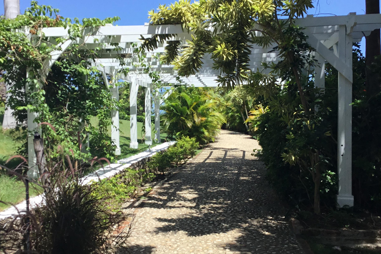 Montego Bay: Rose Hall Great House Tour with Optional …