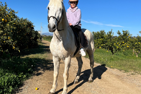 Guided tour on horseback through the guadalhorce valley