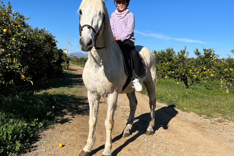 Guided tour on horseback through the guadalhorce valley