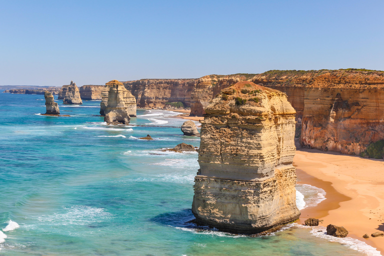 Melbourne: Great Ocean Road Reverse Tour with 12 Apostles Central Melbourne Meeting Point