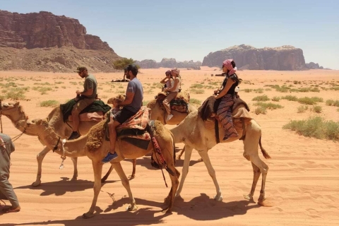 Wadi Rum: Kamelritt mit Tee und Beduinenführer