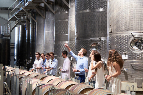 Casablanca-Valparaíso: Explore 2 vineyards with a tour, tasting, and lunch Casablanca, 2 vineyards Tour and tasting + Lunch