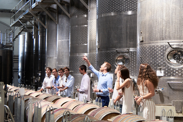 Casablanca-Valparaíso: Explore 2 vineyards with a tour, tasting, and lunch Casablanca, 2 vineyards Tour and tasting + Lunch