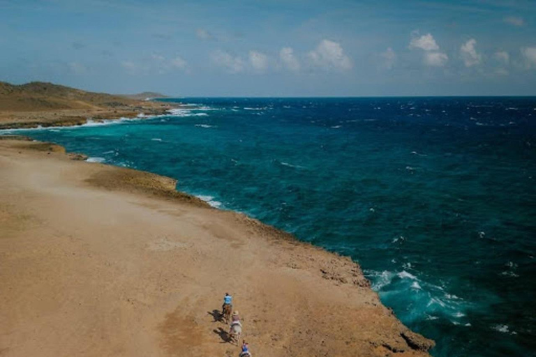 Aruba: Horseback Morning Tour and Beach Ride