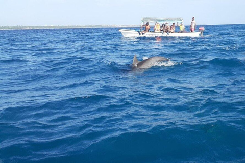 ZANZIBAR: Mnemba Island Dolphins & Maasai Village Experience