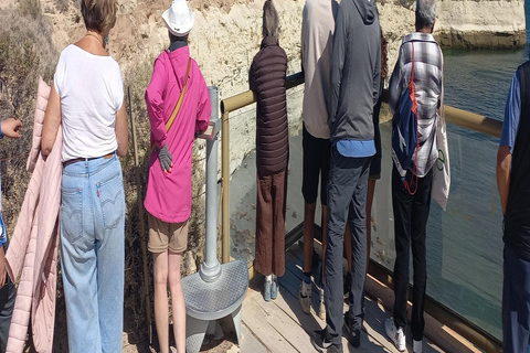 Puerto Madryn: Punta Loma Sea Lion Reserve Tour with Pickup