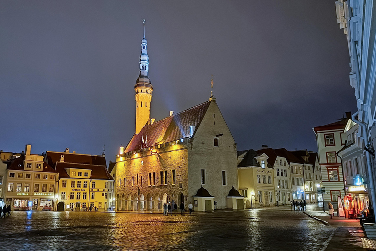تالين: جولة سير خاصة وشخصية في البلدة القديمةتالين: جولة سير شخصية خاصة في البلدة القديمة لمدة 3 ساع