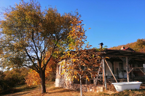 Skopje-Ohrid MTB Experience: Neverending views of Macedonia