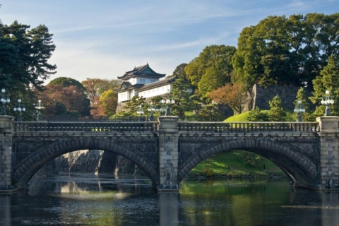Private Tokio-Stadtrundfahrt mit englischsprachigem Guide im AutoToyota Alphard