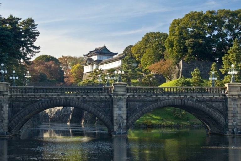Tokyo Private Sightseeing customized Day Tour by Car and Van