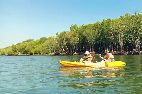 Ko Lanta: Half-Day Mangrove Eco Kayak Experience with Lunch