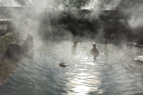 Vulcano, sorgenti calde, bagni di fango e tour del tè: tutto inclusoGiro aperto