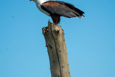 Nairobi: Horseback Safari and Lake Naivasha Boat Ride