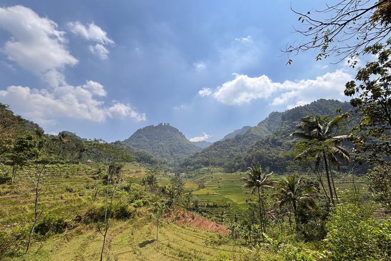 يوغياكارتا: جولة شاملة مع مرشد سير في تراس الأرزيوجياكارتا: جولة شاملة على مدرجات الأرز مع مرشد