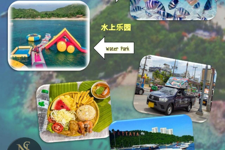 芭堤雅珊瑚岛探险之旅：芭堤雅最佳海滩度假胜地芭堤雅珊瑚岛探险之旅：芭堤雅最佳海滩之旅
