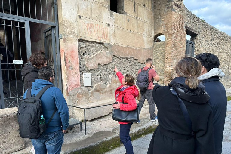 Da Napoli: Tour privato di Pompei, Sorrento e PositanoGuida turistica di Pompei in inglese/spagnolo/italiano (autista inglese)