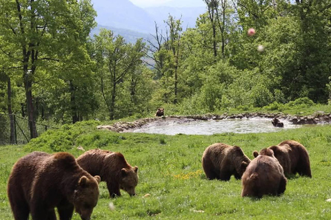 Cave Valley, Râșnov Fortress, Bran Castle & Bear Sanctuary