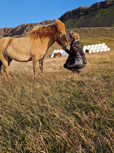 Private Farm Visit in West Iceland & Silver Circle Daytour