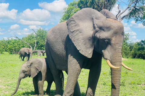 Safari à dos de rhinocéros