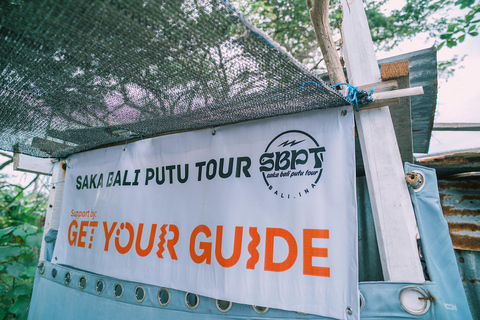 Bali: Dolphin Swimming Tour with ATV Quad Bike & Waterfall Dolphin, Waterfall, Tandem ATV Bike (Central & South Bali)