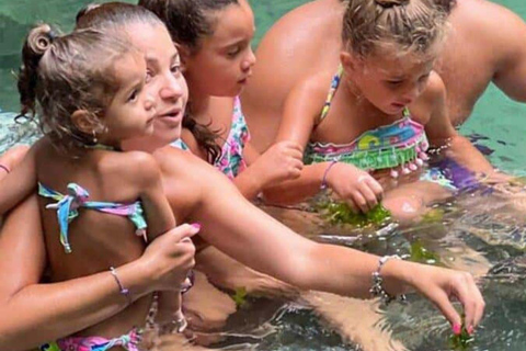 Jozani Forest & Turquoise Waters Turtle Swim at Salaam Cave TOUR WITHOUT HOTEL PICKUP AND DROP OFF