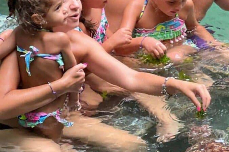 Jozani Forest & Turquoise Waters Turtle Swim at Salaam Cave TOUR WITHOUT HOTEL PICKUP AND DROP OFF