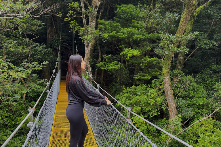 Waterfalls, Hanging Bridge, and Sloths in Fortuna de Bagaces, Guanacaste. Explore Miravalles: Waterfalls, Suspension Bridge, and Sloths