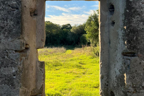 From Colonia: Trekking and Nature in Molino Artola with a Local Host