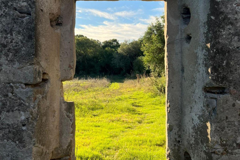 From Colonia: Trekking and Nature in Molino Artola with a Local Host