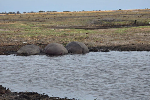 Crucero al atardecer por el río Chobe