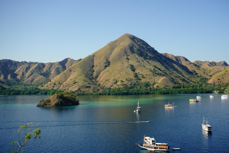 Bali: Komodo Island Day Trip with Flight & Photographer Bali: Komodo Island Day Trip with Flight & Manta Snorkeling