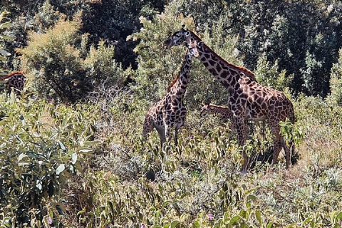 Nairobi: 3-Day Lake Nakuru, Hell’s Gate & Naivasha Safari