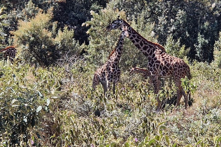 Nairobi: 3-Day Lake Nakuru, Hell’s Gate & Naivasha Safari