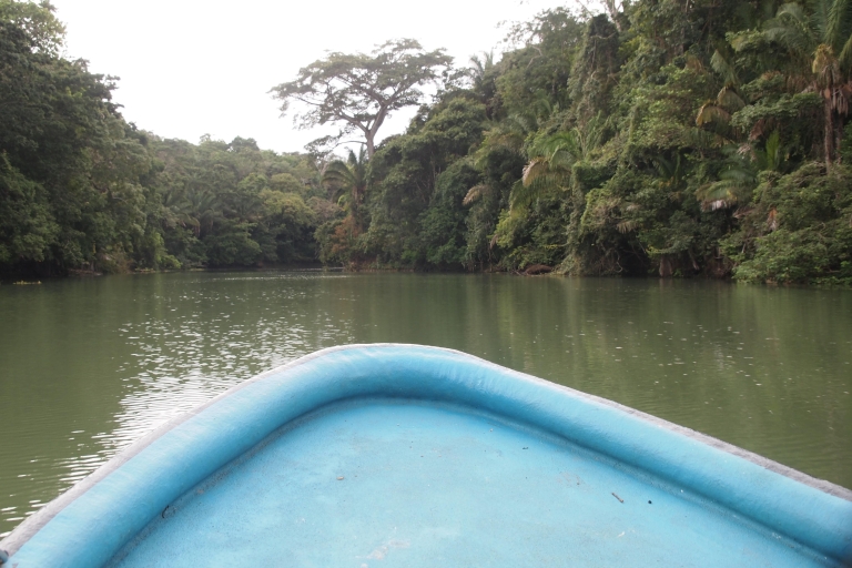 Panama: Przejażdżka łodzią po jeziorze Gatun na Małpiej Wyspie