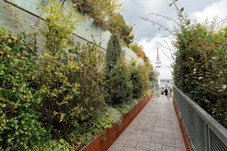 Green Bunker Tour on St. Pauli – the original