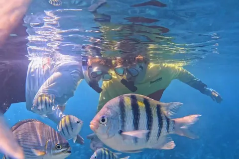Roatan: Mayan Reef Snorkeling and West End Beach Tour
