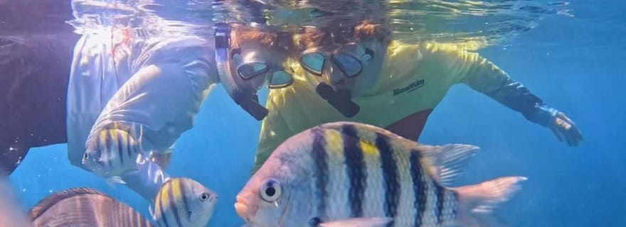 Plongée avec masque et tuba dans le deuxième plus grand récif corallien du monde