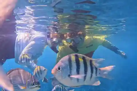 Snorkel the Second Largest Coral Reef in the World