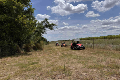 Bamboo Dune Buggy Tour