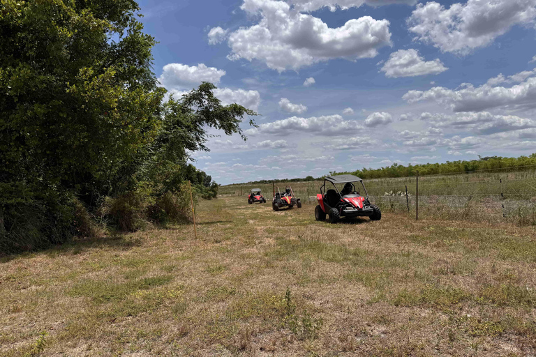 Bamboo Dune Buggy Tour